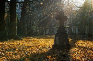 OPREZ OKO STARIH SPOMENIKA: Zbog Zadušnica, ulaz automobilima na sva groblja u Beogradu zabranjen do 15 sati