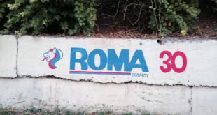 roma Pedja T81